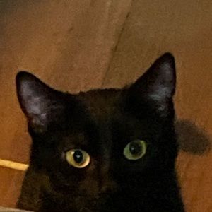 Meet your Posher, Sofia